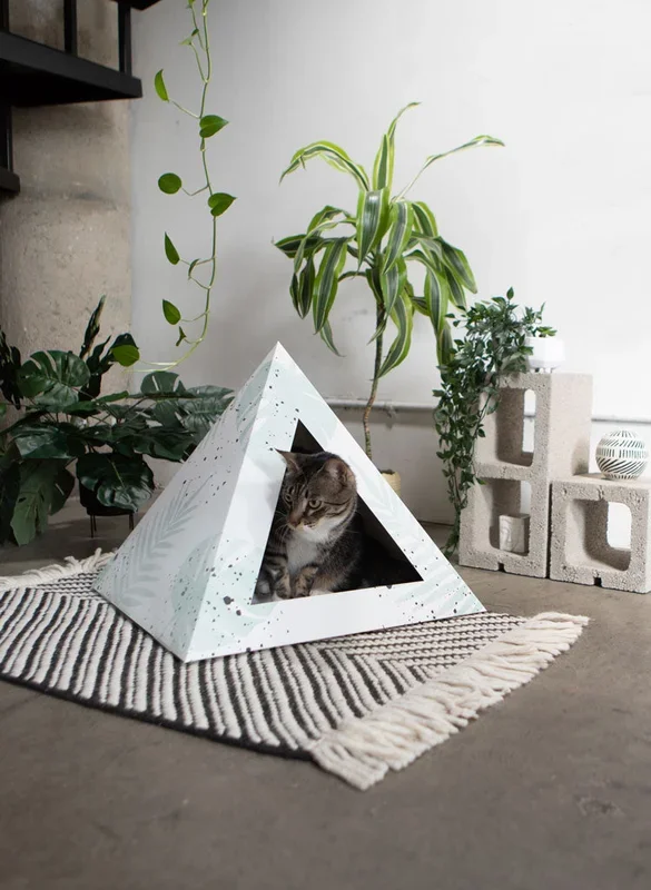 ‘Oasis’ Cardboard Cat Pyramid