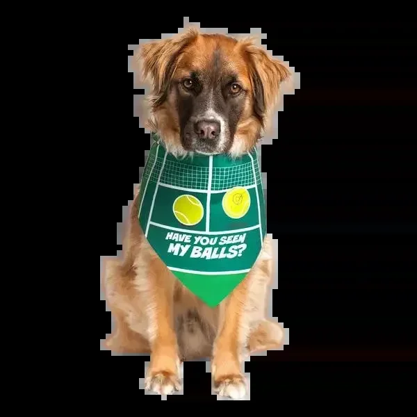 “Have You Seen My Balls?” Dog Bandana by Dog Fashion Living