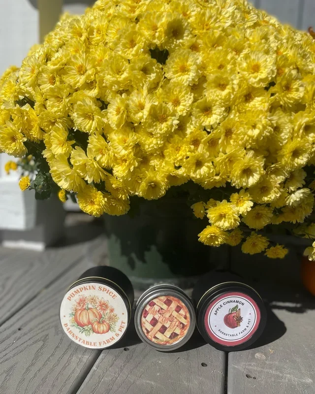 Barnstable Farm & Pet Soy Candles