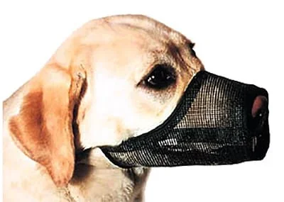 Best Fit Adjustable Mesh Dog Muzzle