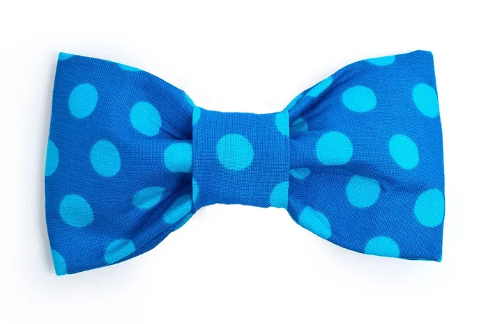 Big Blue Polka Dot Dog Bow Tie – 960