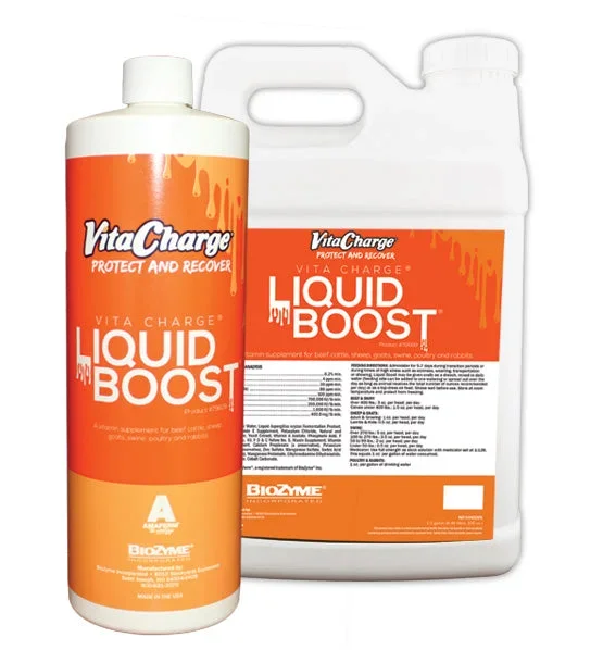 Biozyme Vita Charge Liquid Boost