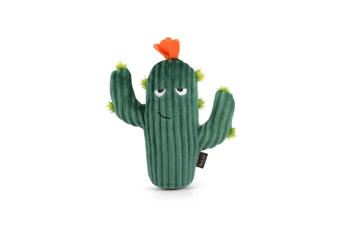 Blooming Buddies – Prickly Pup Cactus