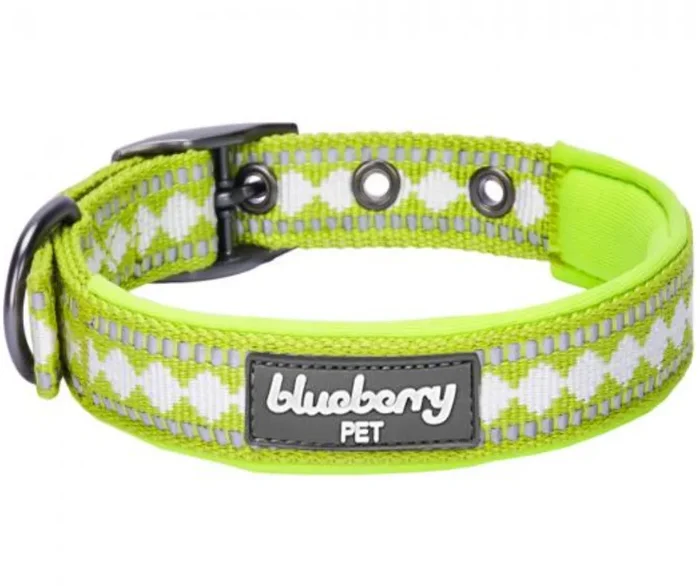 Blueberry Pet – Macaw Green | 3M Reflective Padded Jacquard Dog Collar