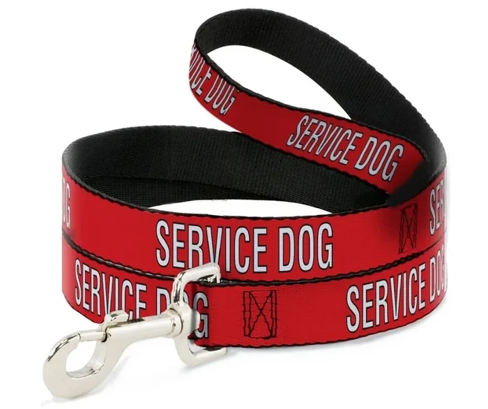 Buckle Down – Service Dog Dog Leash