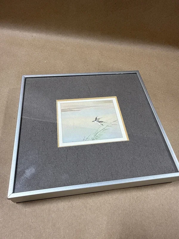 (C) Small Mallard Flying Ducks Framed Print — October 1977
