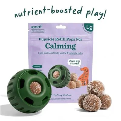 Calming Wellness Pops – Long Lasting Treats for the Pupsicle