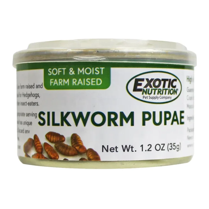 Canned Silkworm Pupae