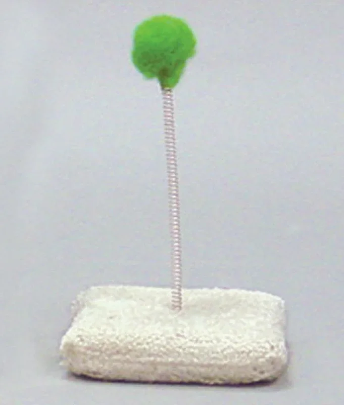 Classy Kitty Cat Spring Toy