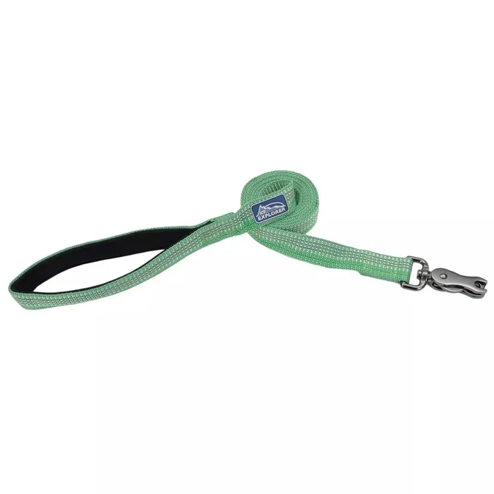Coastal Pet Products K9 Explorer Brights Reflective Dog Leash Meadow 1″ x 06′