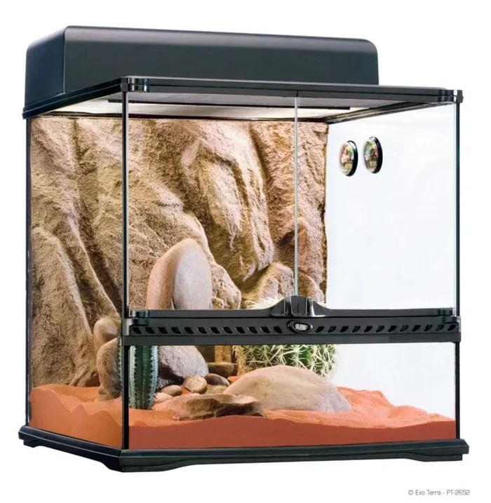 Exo Terra Desert Habitat Kit Medium