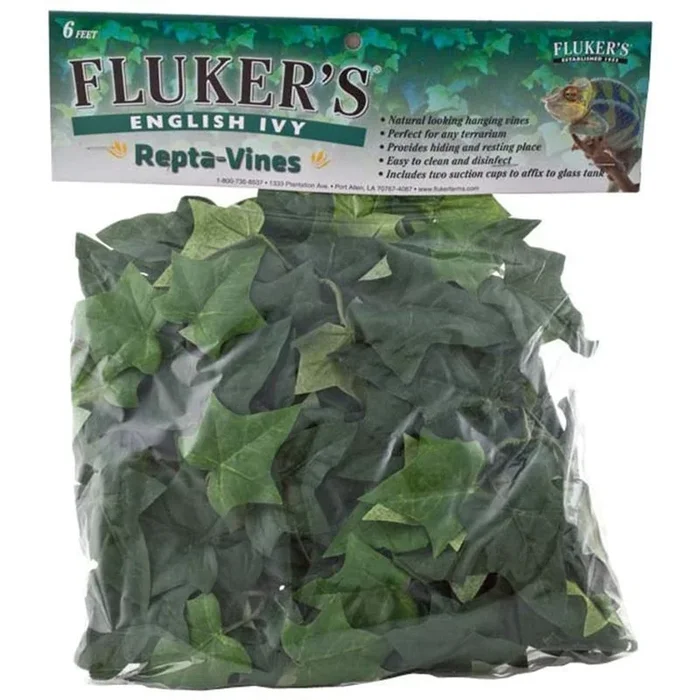 Fluker’s English Ivy Repta-Vines
