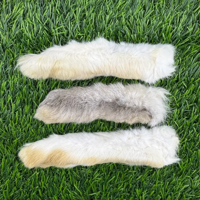 Golden Nibbles – Rabbit Foot – Freeze-Dried Treat/Chew for Dogs