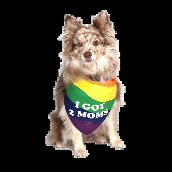 I Got 2 Moms Gay Parade Dog Bandana by Dog Fashion Living