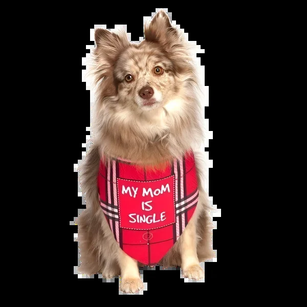 My Mom Is Single Dog Bandana by Dog Fashion Living