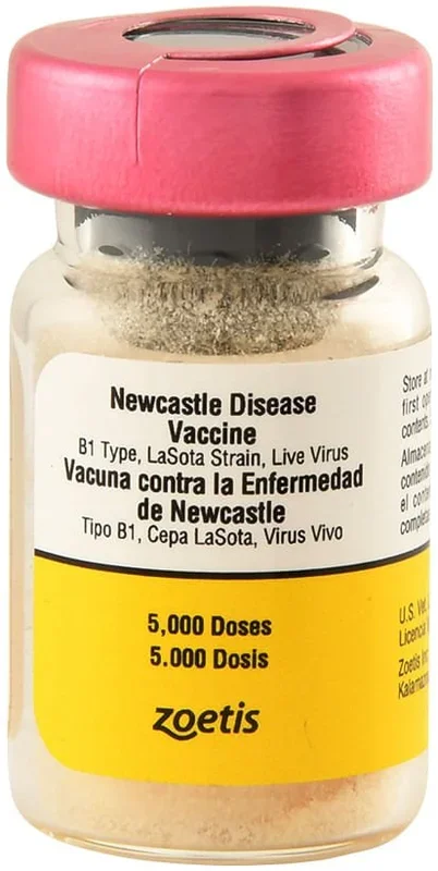 Newcastle Disease Chicken Vaccine – 5,000 Dose