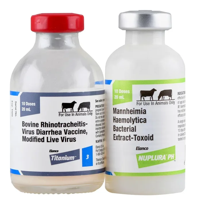 Nuplura PH+3 Cattle Vaccine