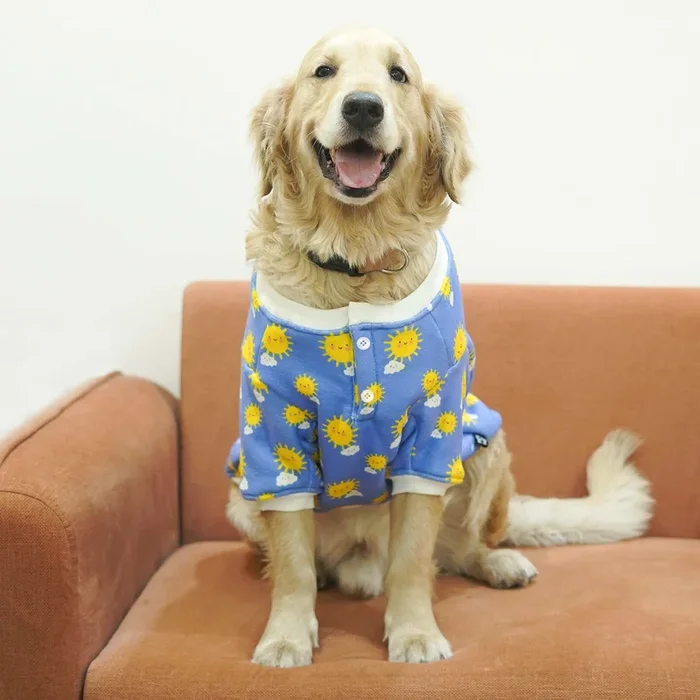 Pets Way Sunlight Winter Sweatshirts for Dogs (Blue)