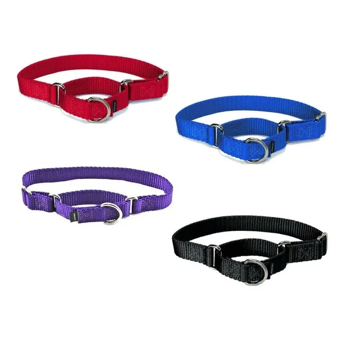 Premier Pet Products – Quick Snap Buckle Nylon Martingale Dog Collar