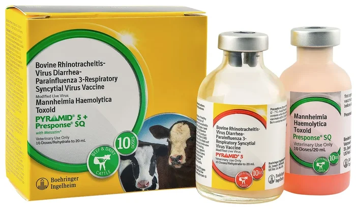 Pyramid 5 + Presponse SQ Cattle Vaccine