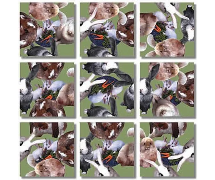 Scramble Squares – Bunnies