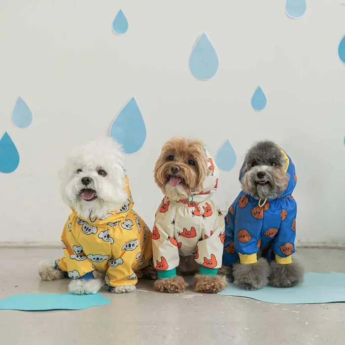 Small Dog Raincoat – Waterproof Jacket