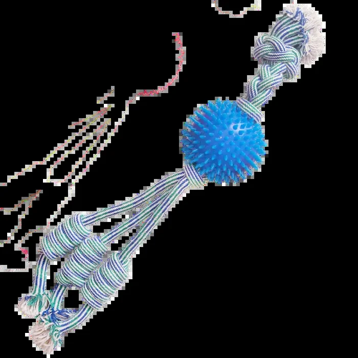 Snugarooz Feel’N Spikey Dog Toy