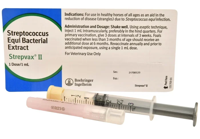 Strepvax II (with syringe/needle) Vaccine for Horses