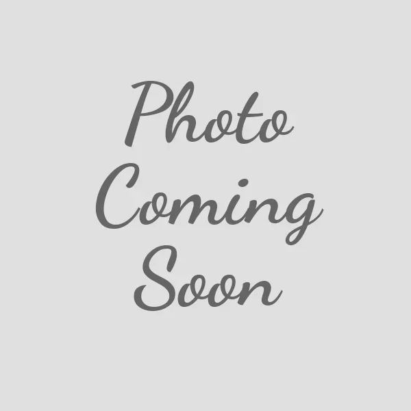 Sunset Plaid Dog Bow Tie – 1111