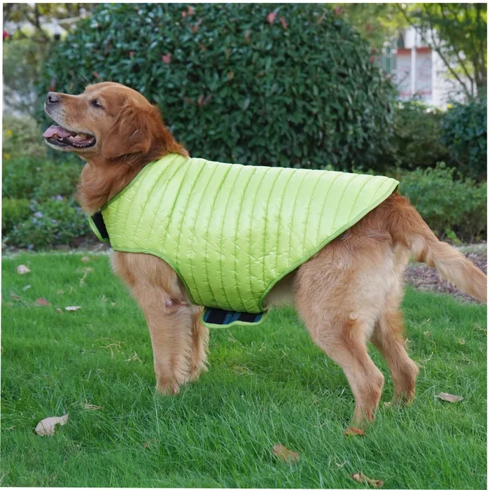Talking Dog Club Double Trouble Reversible Jackets for Dogs (Blue/Green)
