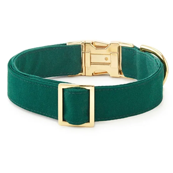The Foggy Dog – Dog Collar Evergreen