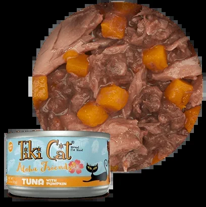 Tiki Cat Aloha Tuna Pumpkin