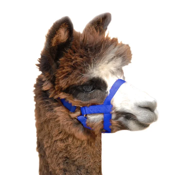 Weaver Leather Nylon Alpaca Halter