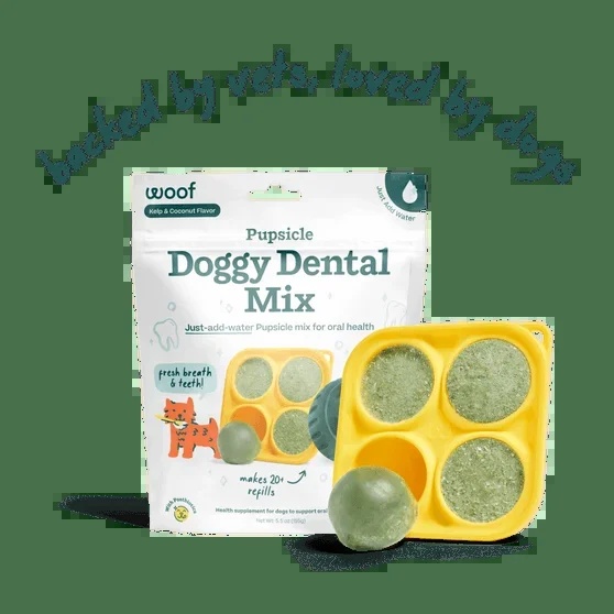 Woof Doggy Dental Pupsicle Mix