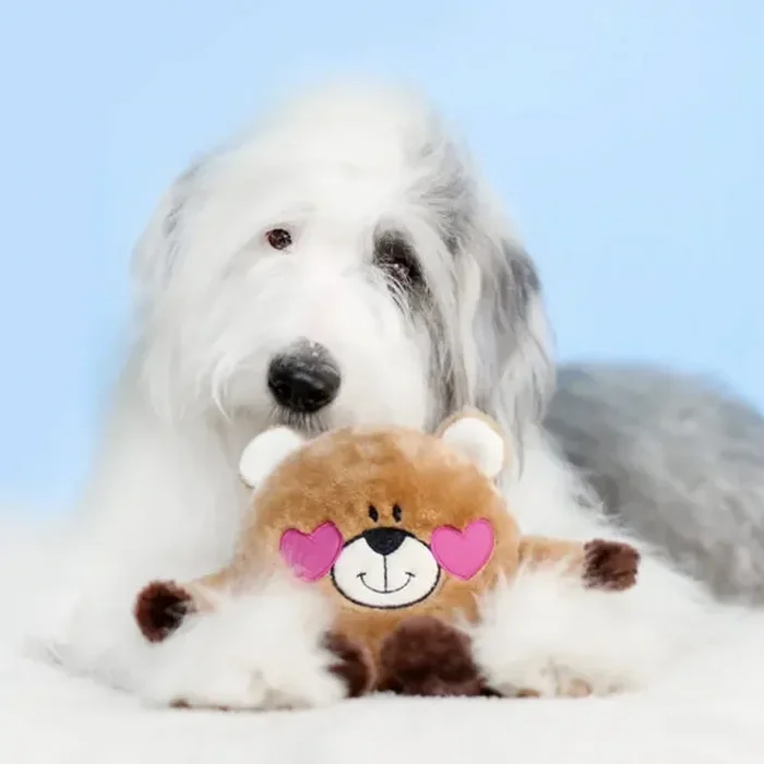 Zippy Paws Brainey – Bear in Love
