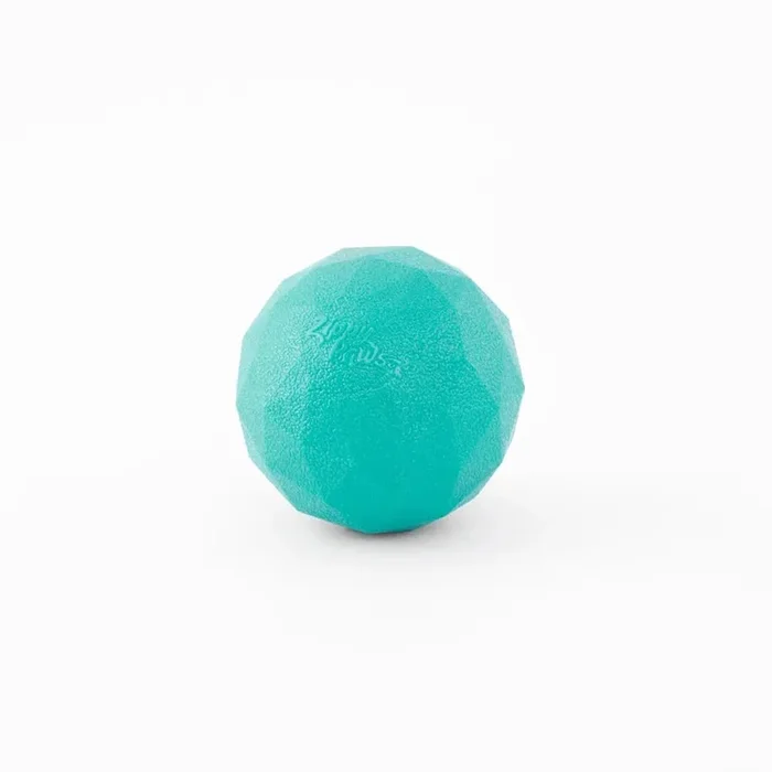 Zippy Paws ZippyTuff Waggle Ball Dog Toy